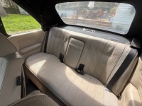 1984 BMW 323i for sale in Michigan (ID-162074)