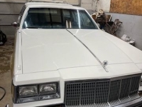 1984 Buick Estate Wagon for sale (ID-117677)