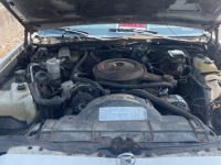 1984 Buick Estate Wagon for sale (ID-117677)