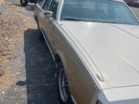 1984 Buick Estate Wagon for sale (ID-117677)