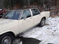 1984 Buick LeSabre for sale in Michigan (ID-138777)