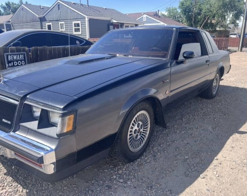 1984 Buick Regal for sale in Michigan (ID-164054)