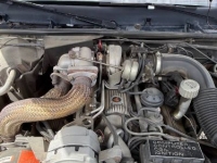 1984 Buick Regal for sale in Michigan (ID-164054)