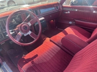 1984 Buick Regal for sale in Michigan (ID-164054)