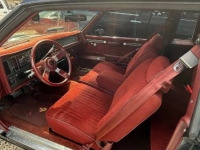 1984 Buick Regal for sale in Michigan (ID-164054)