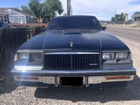 1984 Buick Regal for sale in Michigan (ID-164054)