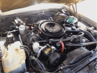 1984 Buick Riviera for sale in Midlothian, Texas (ID-130754)