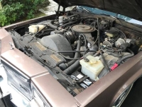 1984 Cadillac DeVille for sale in Michigan (ID-146594)