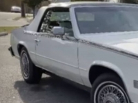 1984 Cadillac Eldorado for sale in Michigan (ID-100959)