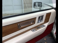 1984 Cadillac Eldorado for sale in Michigan (ID-100959)