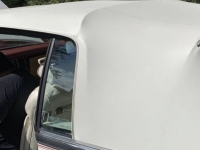 1984 Cadillac Eldorado for sale in Michigan (ID-100959)