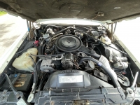 1984 Cadillac Eldorado for sale in Addison, Illinois (ID-119956)