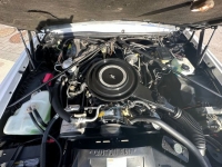 1984 Cadillac Eldorado for sale in Michigan (ID-124676)