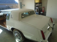 1984 Cadillac Eldorado for sale in Michigan (ID-126666)