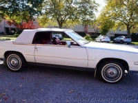 1984 Cadillac Eldorado for sale in Riverhead, New York (ID-146121)