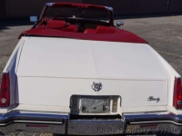 1984 Cadillac Eldorado for sale in Riverhead, New York (ID-146121)