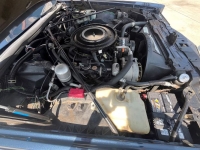 1984 Cadillac Eldorado for sale in Michigan (ID-155703)