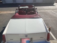 1984 Cadillac Eldorado for sale in Michigan (ID-156263)