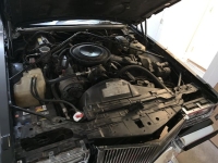 1984 Cadillac Seville for sale in Michigan (ID-140383)
