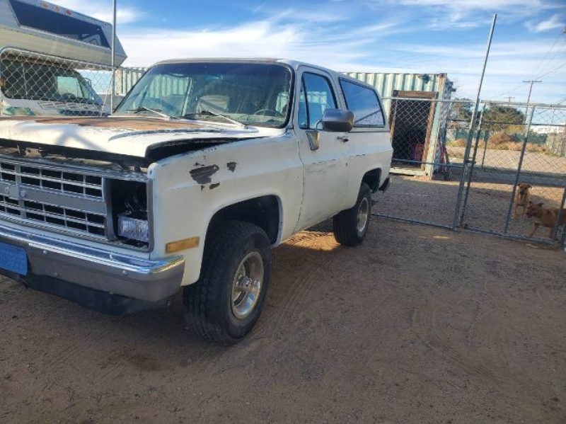 1984 Chevrolet Blazer for sale in Michigan (ID-161551)