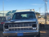 1984 Chevrolet Blazer for sale in Michigan (ID-161551)