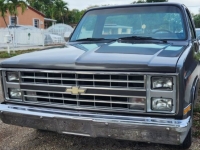 1984 Chevrolet C10 for sale in Michigan (ID-117050)