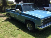 1984 Chevrolet C10 for sale in Michigan (ID-119328)