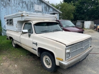 1984 Chevrolet C10 for sale in Michigan (ID-119671)
