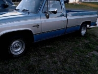 1984 Chevrolet C10 for sale in Michigan (ID-124226)