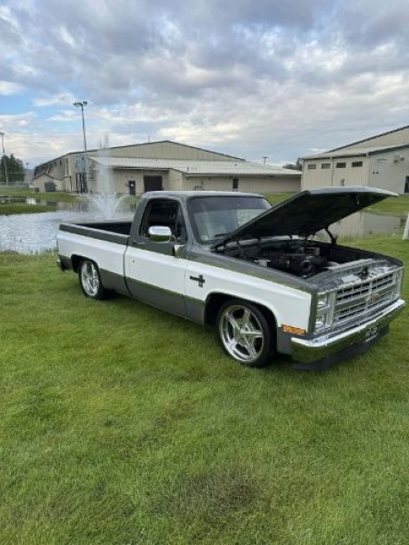 1984 Chevrolet C10 for sale in Michigan (ID-156130)