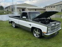 1984 Chevrolet C10 for sale in Michigan (ID-156130)