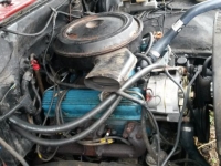 1984 Chevrolet C20 for sale in Michigan (ID-96864)