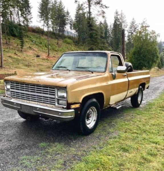 1984 Chevrolet C20 for sale in Michigan (ID-119896) 1984 Chevrolet C20 for sale in Michigan (ID-119896)