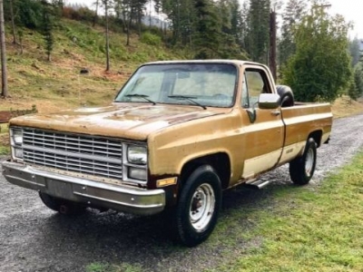 1984 Chevrolet C20 for sale