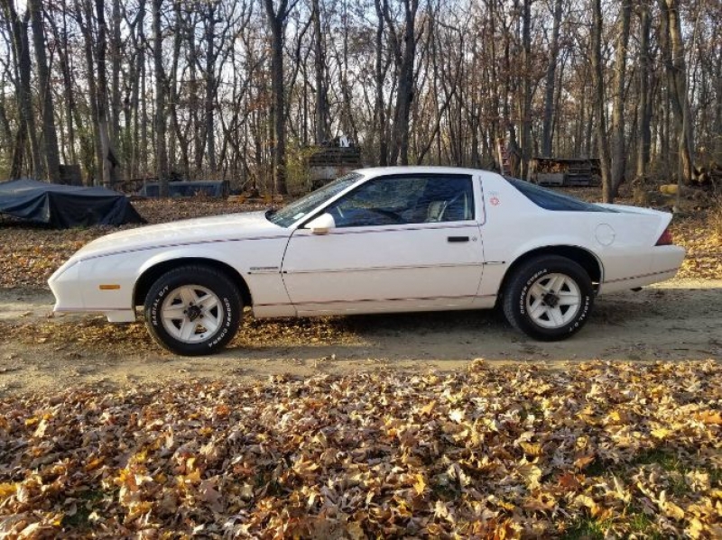 1984 Chevrolet Camaro for sale in Michigan (ID-110454)