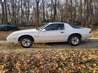 1984 Chevrolet Camaro for sale in Michigan (ID-110454)