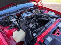 1984 Chevrolet Camaro for sale in Riverhead, New York (ID-127158)