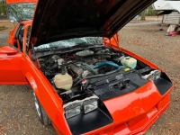 1984 Chevrolet Camaro for sale in Michigan (ID-135922)
