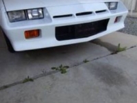 1984 Chevrolet Camaro for sale in Michigan (ID-156097)