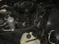 1984 Chevrolet Caprice for sale in Michigan (ID-156163)