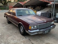 1984 Chevrolet Caprice for sale in Michigan (ID-156163)