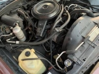 1984 Chevrolet Caprice for sale in Michigan (ID-156163)