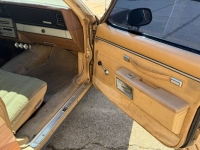 1984 Chevrolet Caprice Classic for sale in Michigan (ID-141105)
