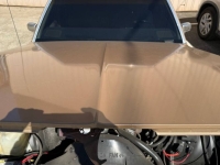1984 Chevrolet Caprice Classic for sale in Michigan (ID-141105)