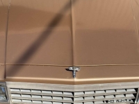1984 Chevrolet Caprice Classic for sale in Michigan (ID-141105)