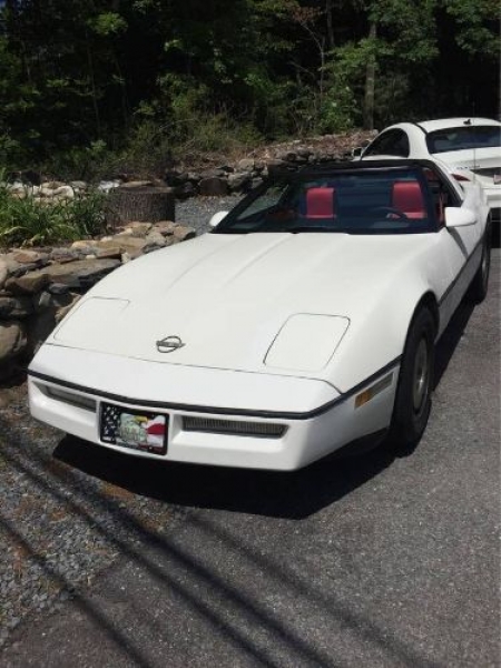 1984 Chevrolet Corvette for sale in Michigan (ID-94640) 1984 Chevrolet Corvette for sale in Michigan (ID-94640)