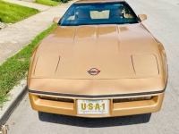 1984 Chevrolet Corvette for sale in Michigan (ID-113418)