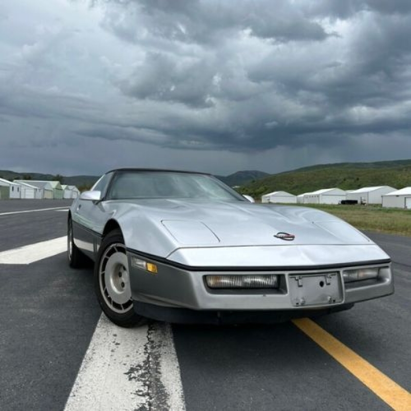 1984 Chevrolet Corvette for sale in Michigan (ID-117825)