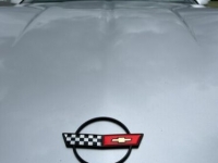 1984 Chevrolet Corvette for sale in Michigan (ID-117825)