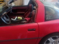 1984 Chevrolet Corvette for sale (ID-135790)
